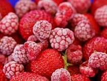 Ariljski Frucom Food gradi hladnjaču