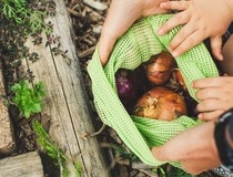 Švajcarska: Uskoro moguća potpuna zabrana upotrebe pesticida
