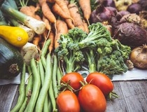 Otvoren Agroindustrijski forum Srbija – Rusija u Beogradu