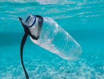 EU zabranila plastičnu ambalažu, a gde smo mi na tom polju?  