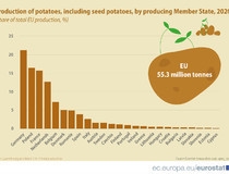 Eurostat: Nemačka lider u proizvodnji krompira u EU u 2020. 