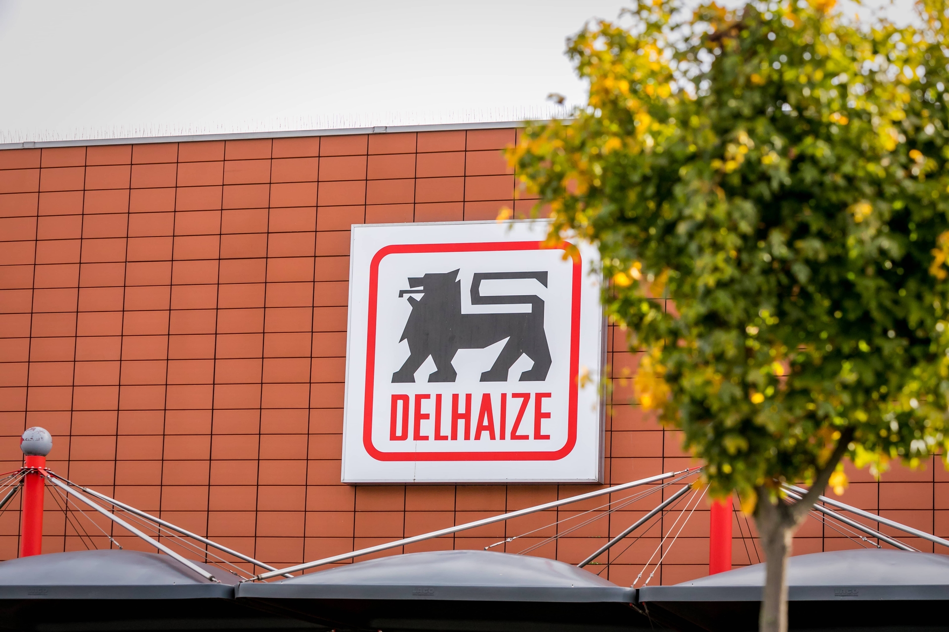 Rast neto prodaje Ahold Delhaize grupe u 2025. od 6,1%