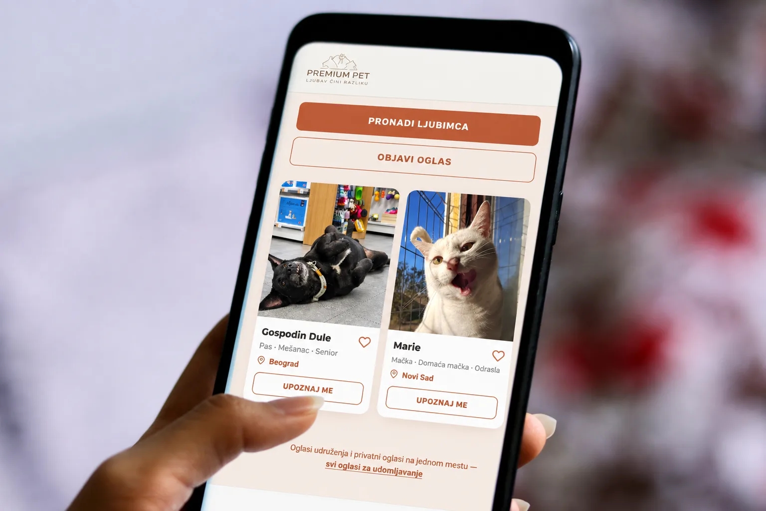 Premium Pet širi podršku životinjama bez doma