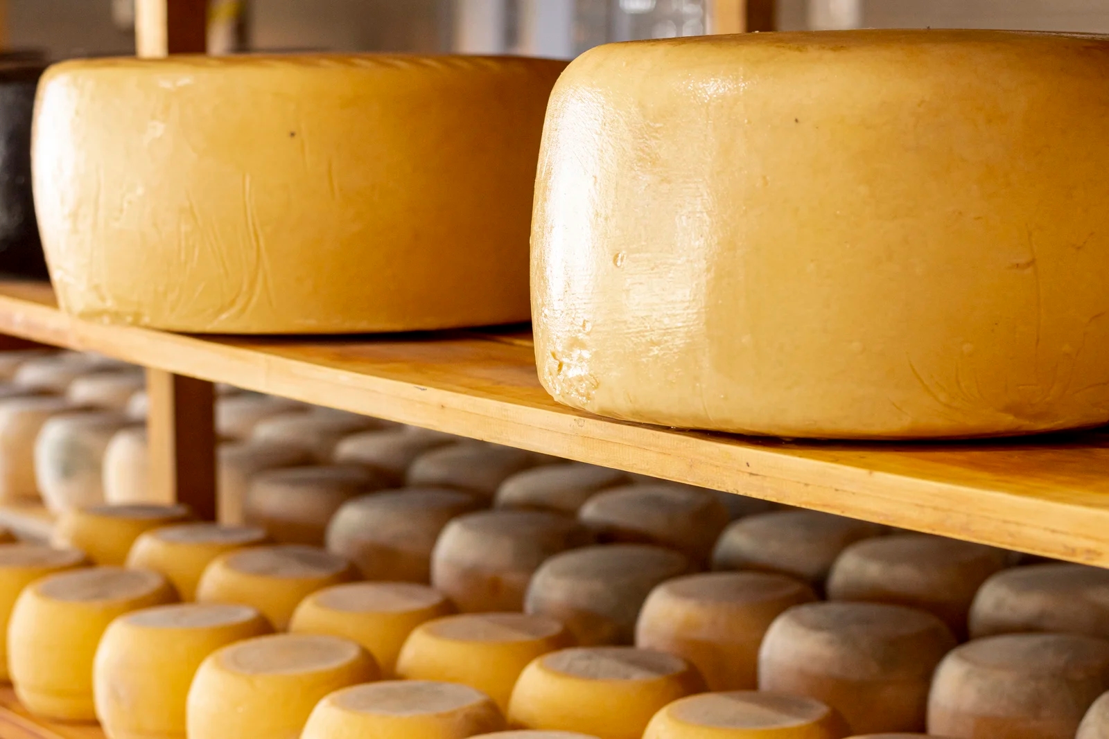 Ekstremne vrućine ugrožavaju italijansku prestonicu parmezana