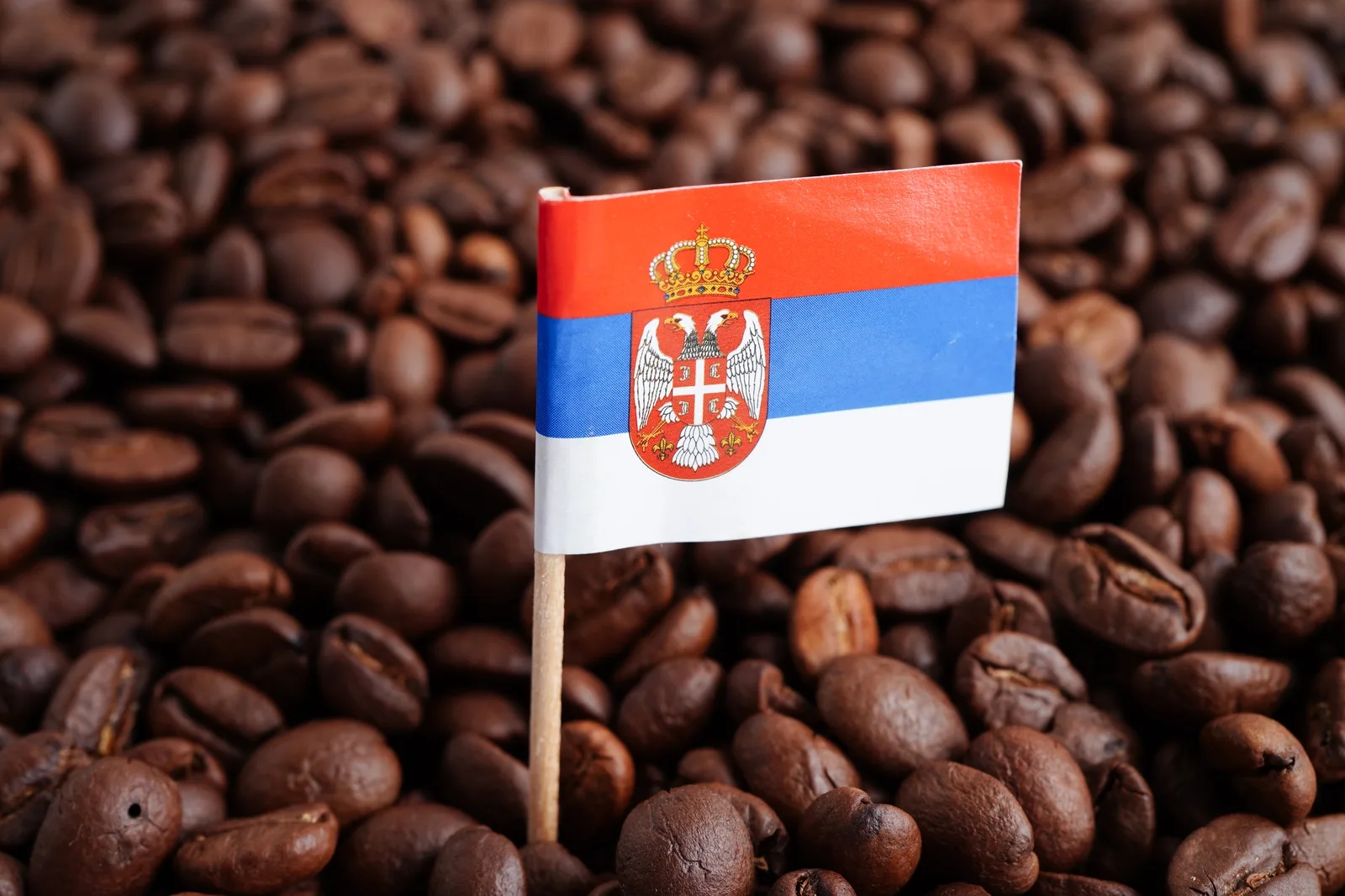 Međunarodni dan kafe u brojkama: manje tona uz rast vrednosti uvoza u Srbiju