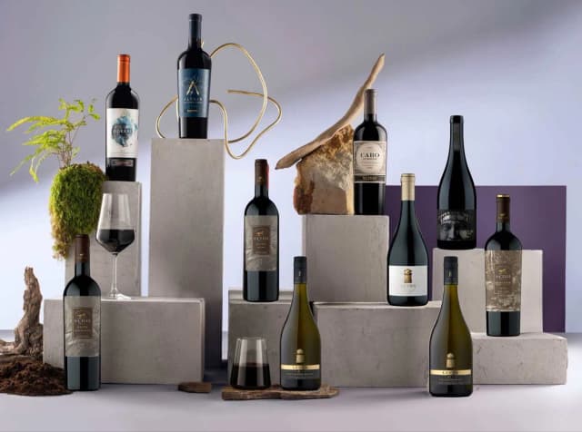 Anora postaje uvoznik i distributer VSPT Wine Group-a u Švedskoj