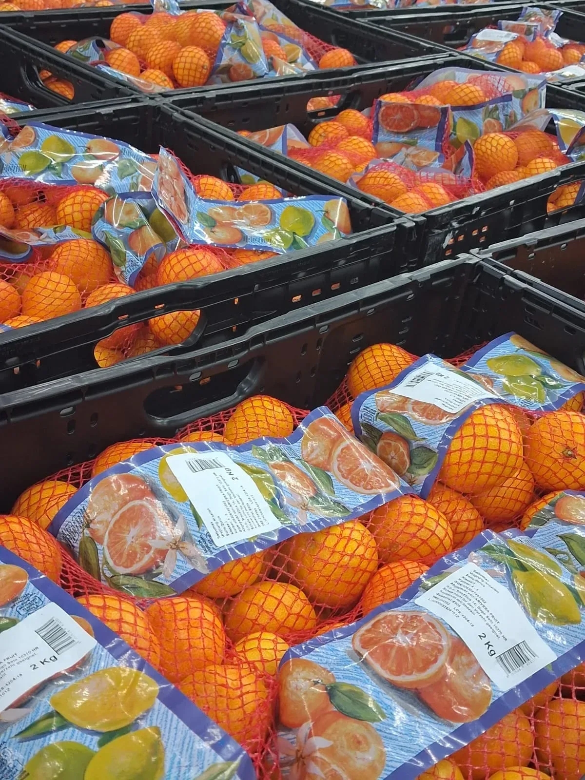 Arivera Fruit planira da upakuje 10.000 tona mandarina u Otkupnom centru Opuzen