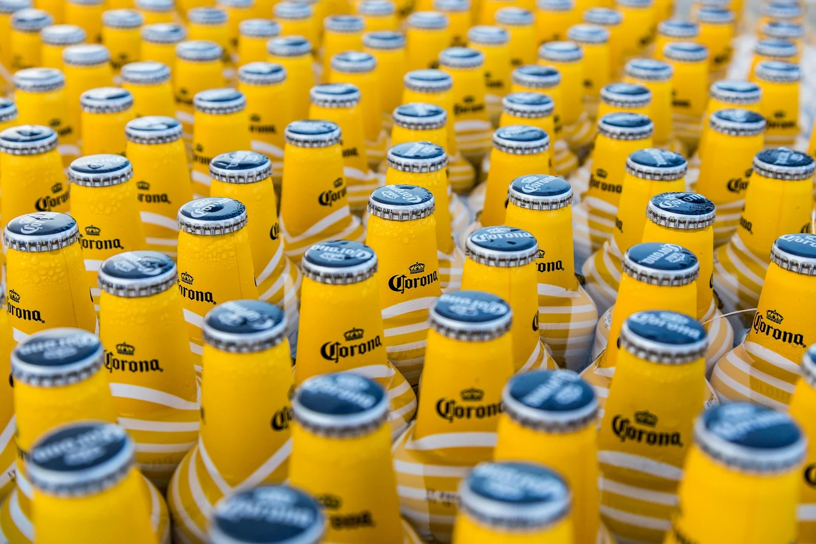 Constellation Brands imenovao novog direktora lanca snabdevanja za pivo
