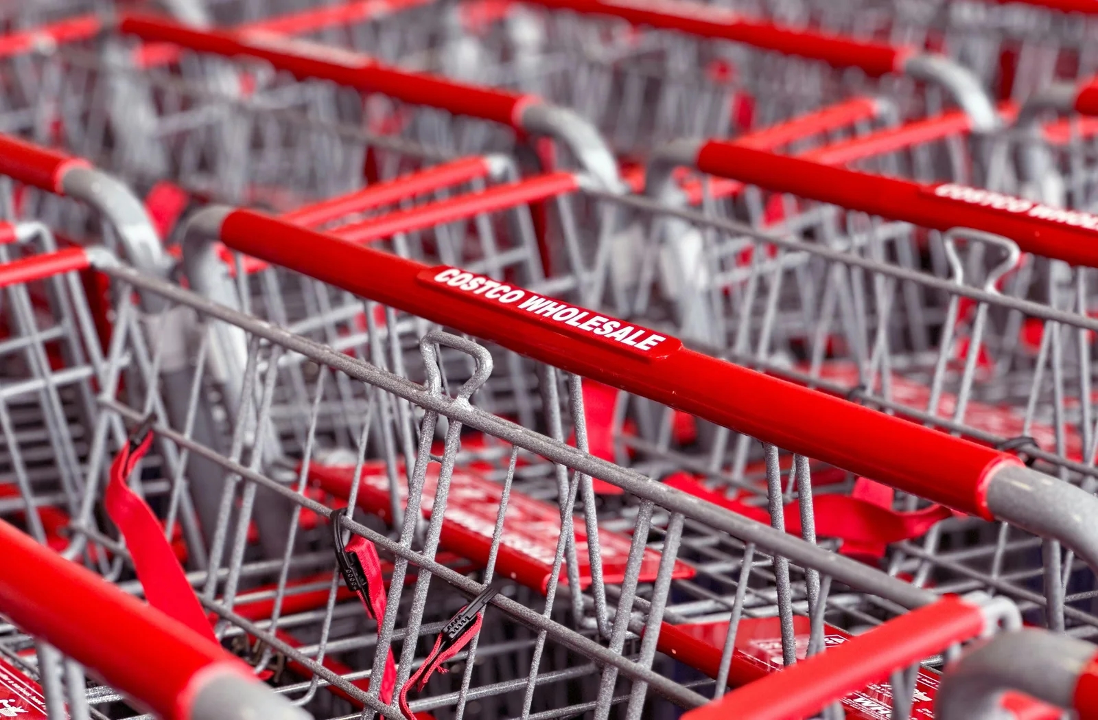 SAD: Costco ostvario rast prodaje od 8,1% u 2025.