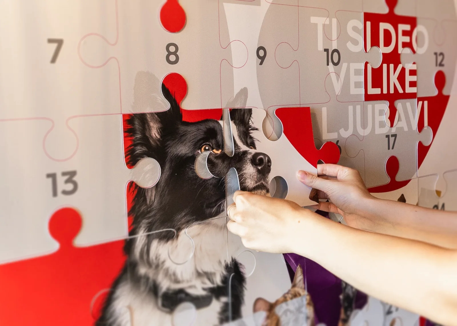 Mars i Pet centar udvostručuju svaku donaciju za napuštene pse i mačke