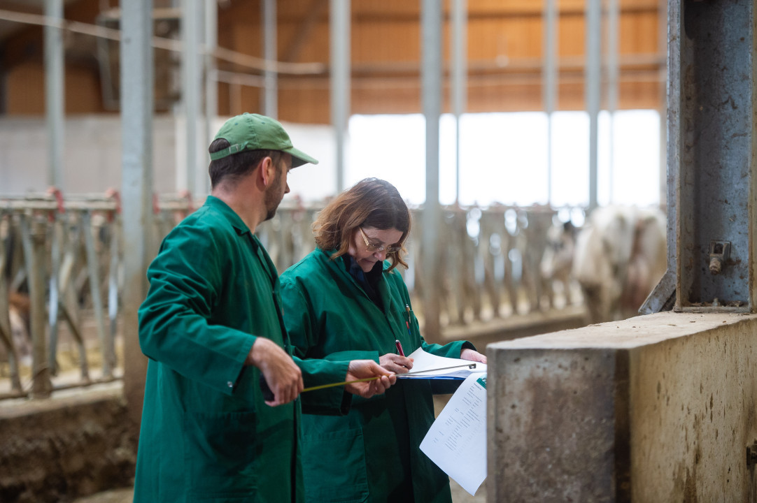 slovenija 16.10.2024, Kmetija Napotnik, kandidati za Naj hlev 2024, foto: Anže Petkovšek