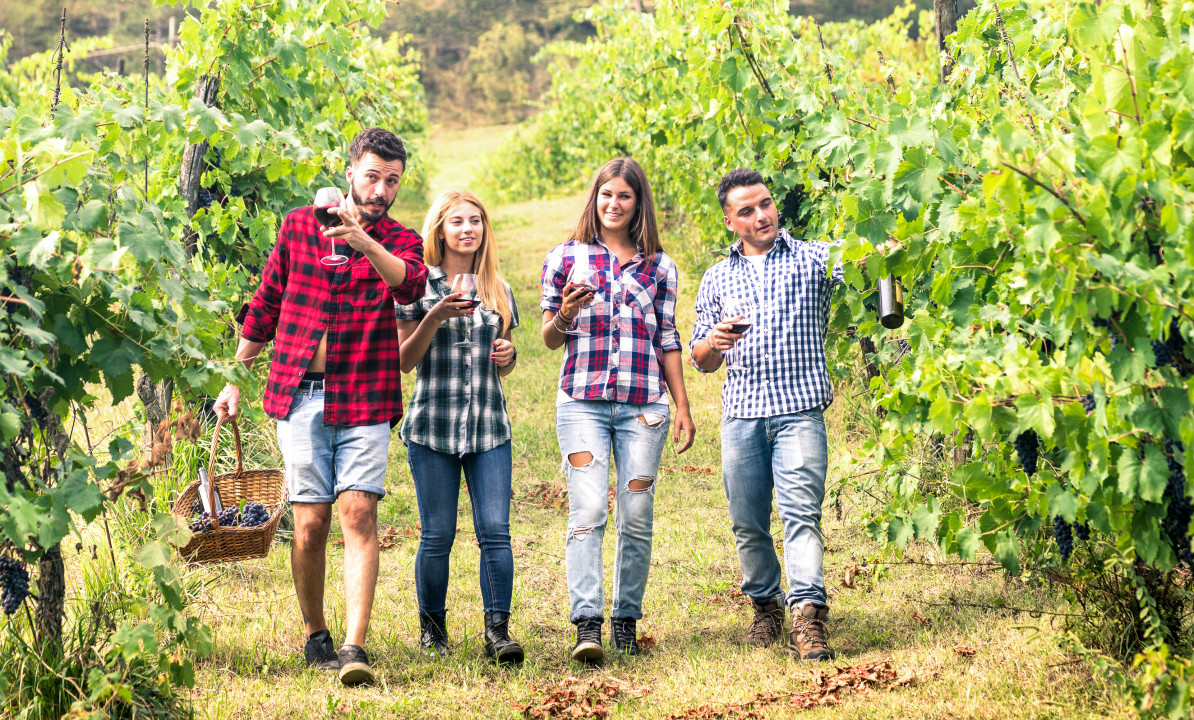 Young friends having fun walking at winery vineyard outdoors - Friendship concept with happy people enjoying harvest together at farm house - Red wine bio production experience - Warm vivid filter